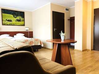 Отели типа «постель и завтрак» Villa Skomanda Августов Двухместный номер Делюкс с 1 кроватью или 2 отдельными кроватями-1